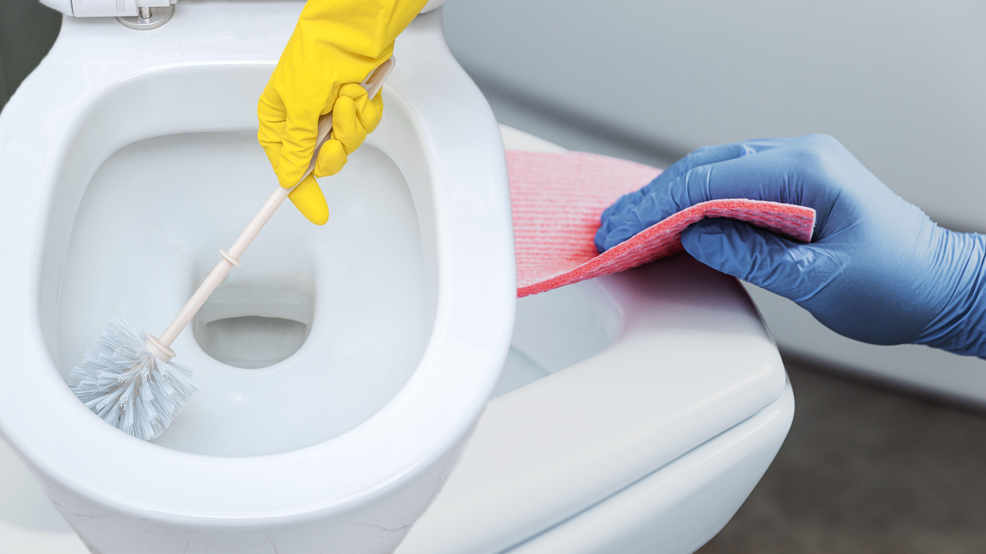 В ванной раковины унитазы чистят сколько раз. Лайфхак для прочистки унитаза. Крышка туалета повредилась. Чем чистить унитаз. Что можно сделать из испорченных унитазов.