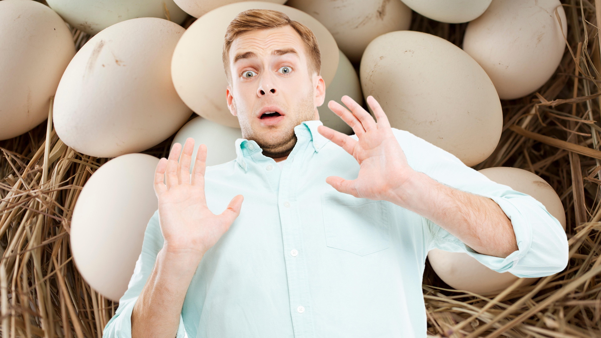 Яйца грязные можно ли их мыть. Опасное яйцо. Мытье яиц. Грязные яйца. Яйца домашние грязные.